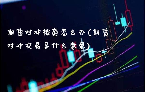 期货对冲被套怎么办(期货对冲交易是什么意思)_https://www.boyangwujin.com_黄金直播间_第1张