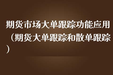 期货市场大单跟踪功能应用（期货大单跟踪和散单跟踪）