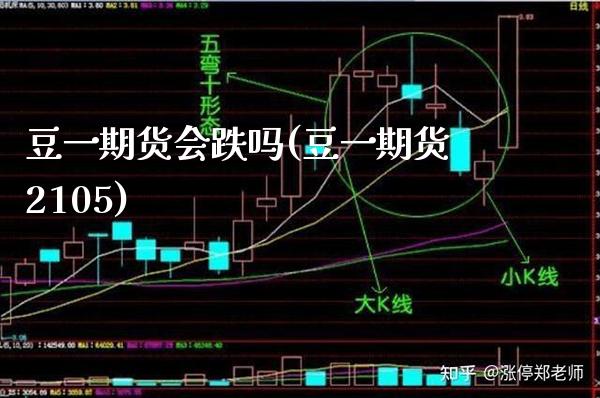 豆一期货会跌吗(豆一期货2105)