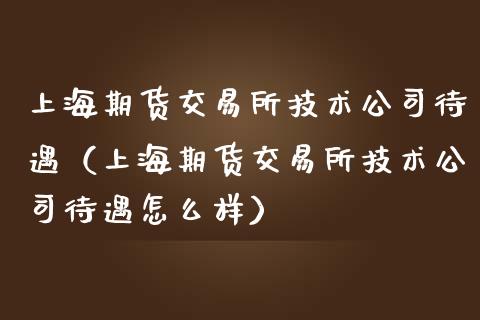 上海期货交易所技术公司待遇（上海期货交易所技术公司待遇怎么样）