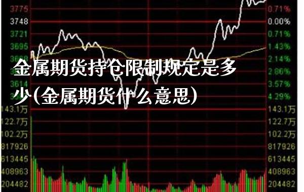 金属期货持仓限制规定是多少(金属期货什么意思)