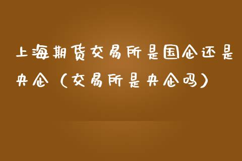 上海期货交易所是国企还是央企（交易所是央企吗）