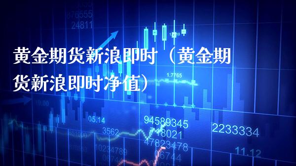 黄金期货新浪即时（黄金期货新浪即时净值）_https://www.boyangwujin.com_黄金期货_第1张