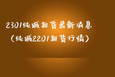 2301纯碱期货最新消息（纯碱2201期货行情）