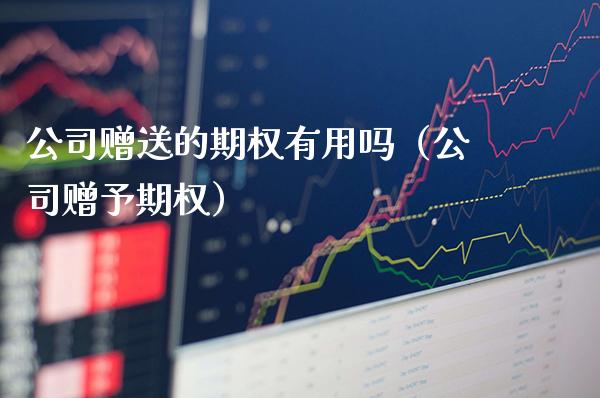 公司赠送的期权有用吗（公司赠予期权）