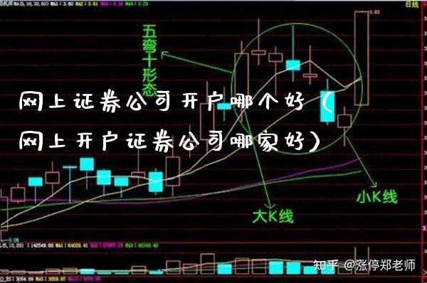 网上证券公司开户哪个好（网上开户证券公司哪家好）