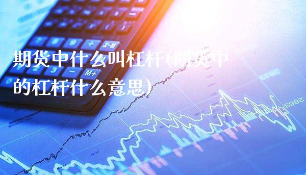 期货中什么叫杠杆(期货中的杠杆什么意思)