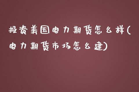 投资美国电力期货怎么样(电力期货市场怎么建)