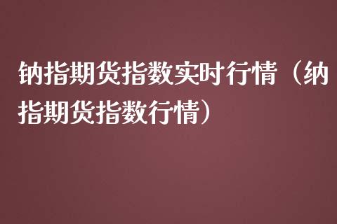 钠指期货指数实时行情（纳指期货指数行情）