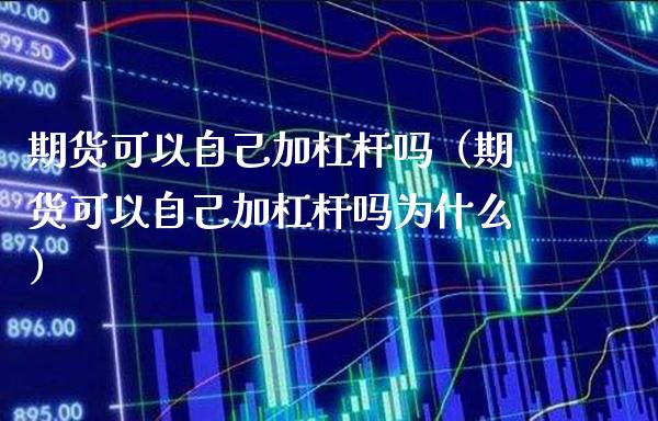 期货可以自己加杠杆吗（期货可以自己加杠杆吗为什么）_https://www.boyangwujin.com_纳指期货_第1张