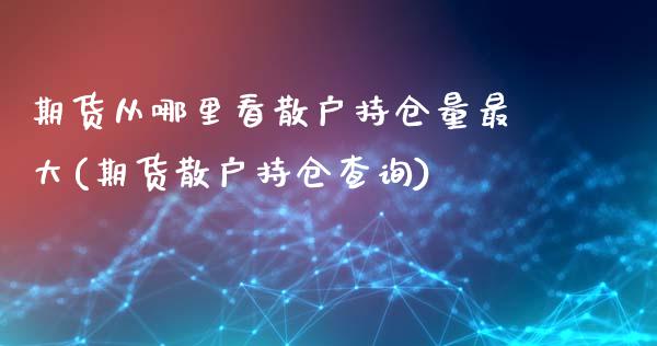 期货从哪里看散户持仓量最大(期货散户持仓查询)