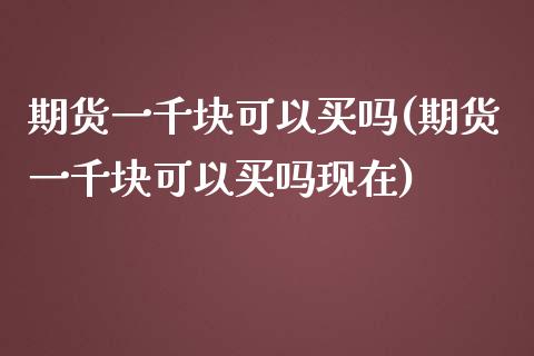 期货一千块可以买吗(期货一千块可以买吗现在)