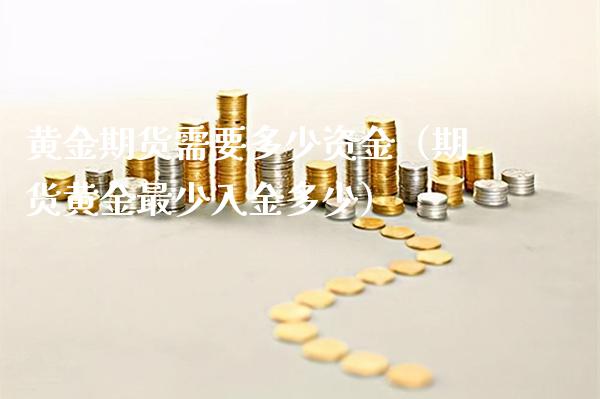 黄金期货需要多少资金（期货黄金最少入金多少）_https://www.boyangwujin.com_原油期货_第1张