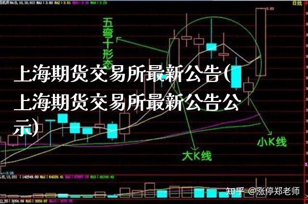 上海期货交易所最新公告(上海期货交易所最新公告公示)