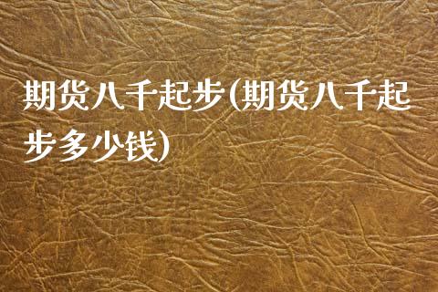 期货八千起步(期货八千起步多少钱)_https://www.boyangwujin.com_期货直播间_第1张