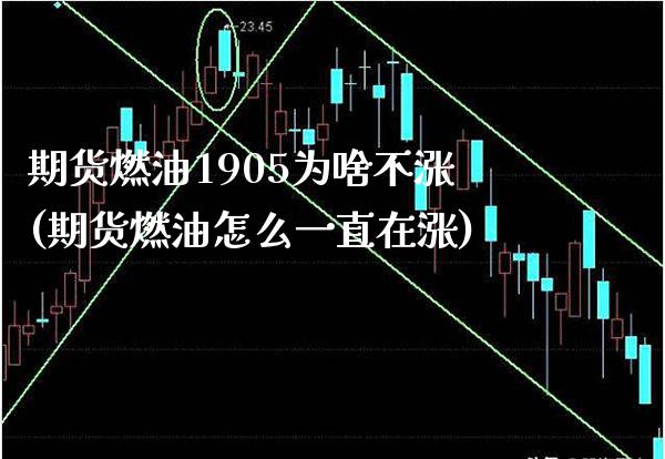 期货燃油1905为啥不涨(期货燃油怎么一直在涨)