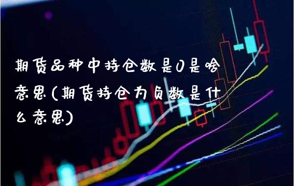 期货品种中持仓数是0是啥意思(期货持仓为负数是什么意思)