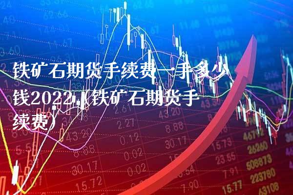 铁矿石期货手续费一手多少钱2022（铁矿石期货手续费）