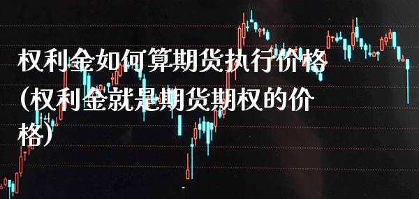 权利金如何算期货执行价格(权利金就是期货期权的价格)