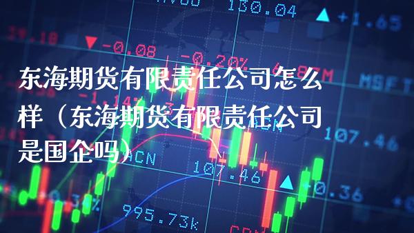 东海期货有限责任公司怎么样（东海期货有限责任公司是国企吗）_https://www.boyangwujin.com_期货直播间_第1张