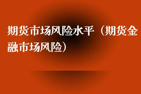 期货市场风险水平（期货金融市场风险）