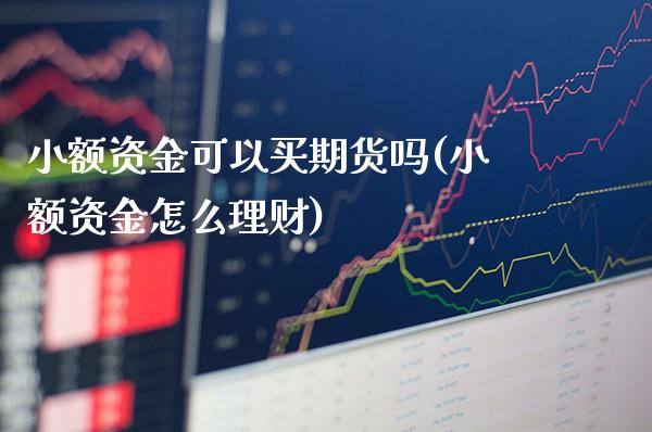 小额资金可以买期货吗(小额资金怎么理财)_https://www.boyangwujin.com_期货直播间_第1张