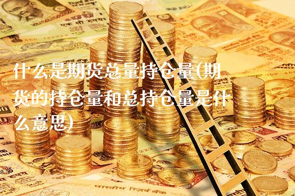 什么是期货总量持仓量(期货的持仓量和总持仓量是什么意思)