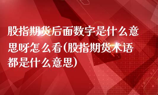 股指期货后面数字是什么意思呀怎么看(股指期货术语都是什么意思)_https://www.boyangwujin.com_期货直播间_第1张