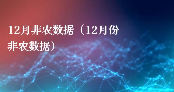 12月非农数据（12月份非农数据）