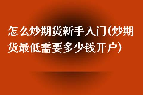 怎么炒期货新手入门(炒期货最低需要多少钱开户)_https://www.boyangwujin.com_黄金期货_第1张