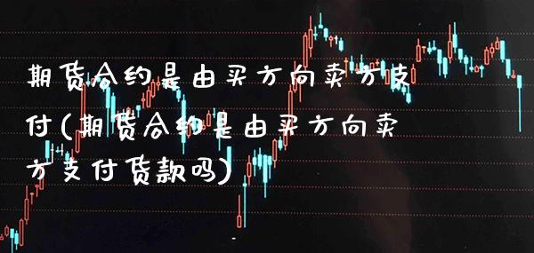 期货合约是由买方向卖方支付(期货合约是由买方向卖方支付货款吗)_https://www.boyangwujin.com_恒指期货_第1张