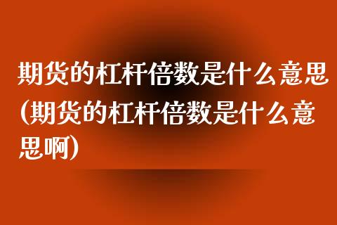 期货的杠杆倍数是什么意思(期货的杠杆倍数是什么意思啊)