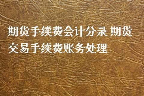 期货手续费会计分录 期货交易手续费账务处理_https://www.boyangwujin.com_恒指直播间_第1张