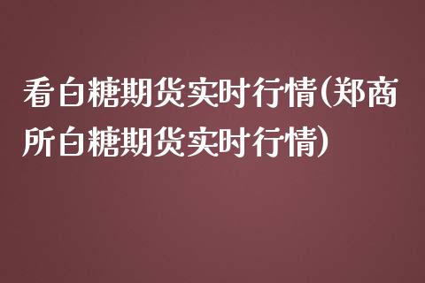 看白糖期货实时行情(郑商所白糖期货实时行情)