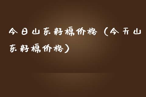 今日山东籽棉价格（今天山东籽棉价格）