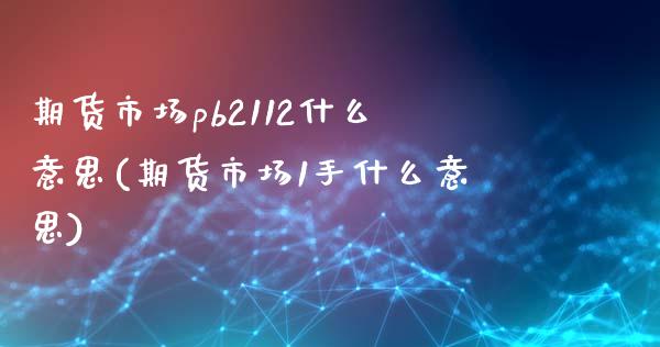 期货市场pb2112什么意思(期货市场1手什么意思)