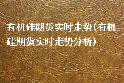 有机硅期货实时走势(有机硅期货实时走势分析)_https://www.boyangwujin.com_期货直播间_第1张