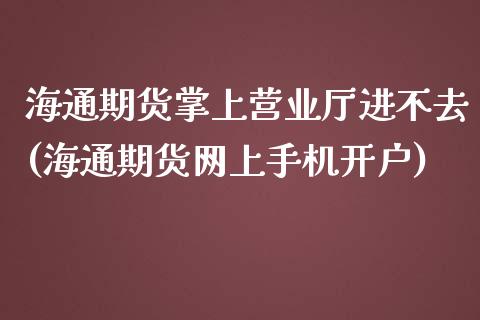 海通期货掌上营业厅进不去(海通期货网上手机开户)