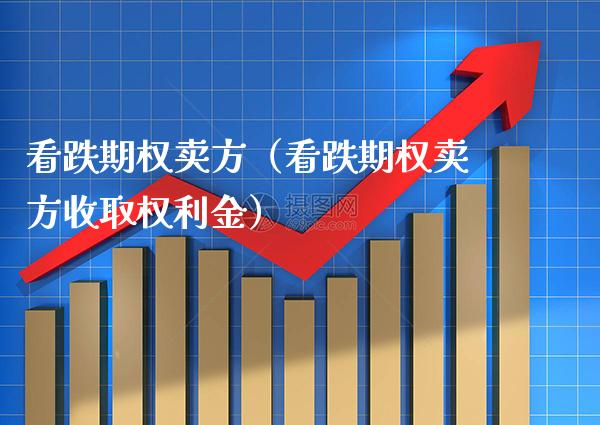 看跌期权卖方（看跌期权卖方收取权利金）