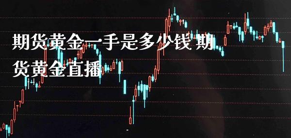 期货黄金一手是多少钱 期货黄金直播_https://www.boyangwujin.com_期货直播间_第1张