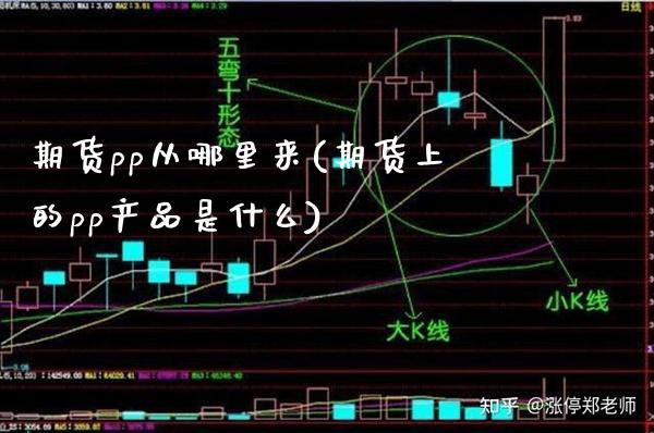 期货pp从哪里来(期货上的pp产品是什么)