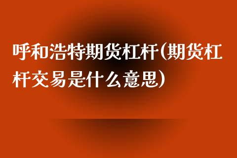 呼和浩特期货杠杆(期货杠杆交易是什么意思)_https://www.boyangwujin.com_恒指直播间_第1张