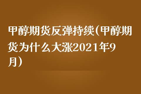 甲醇期货反弹持续(甲醇期货为什么大涨2021年9月)