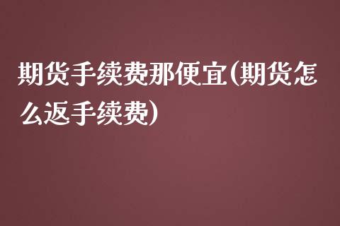 期货手续费那便宜(期货怎么返手续费)