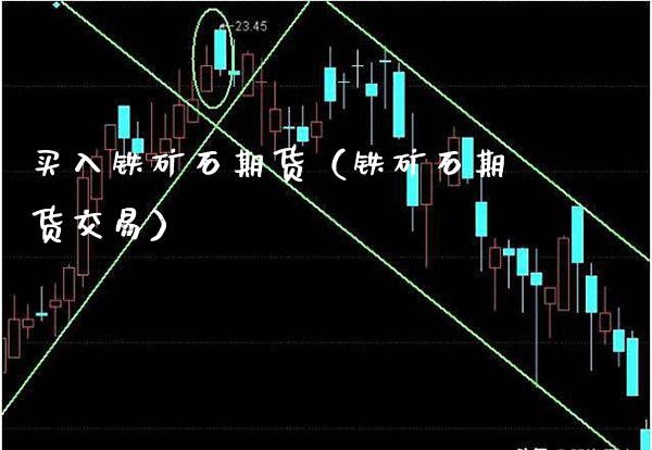 买入铁矿石期货（铁矿石期货交易）