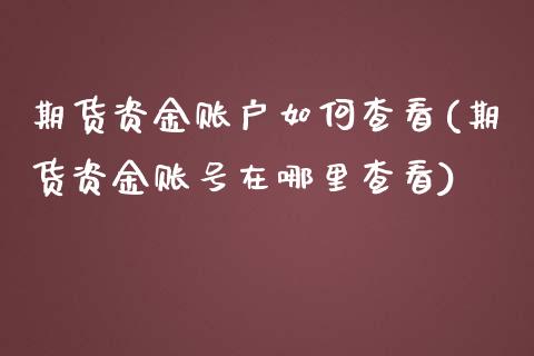 期货资金账户如何查看(期货资金账号在哪里查看)