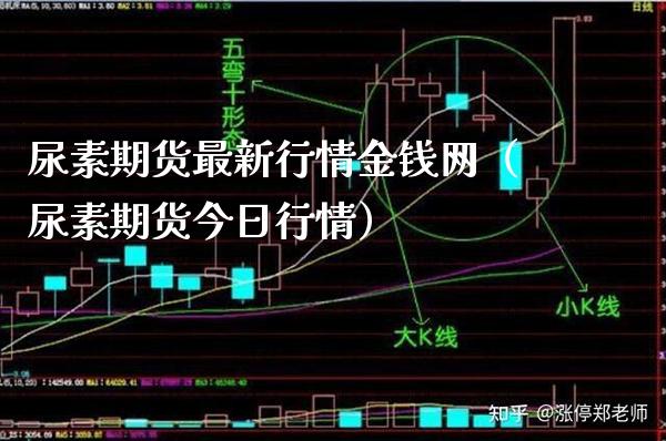 尿素期货最新行情金钱网（尿素期货今日行情）_https://www.boyangwujin.com_期货直播间_第1张