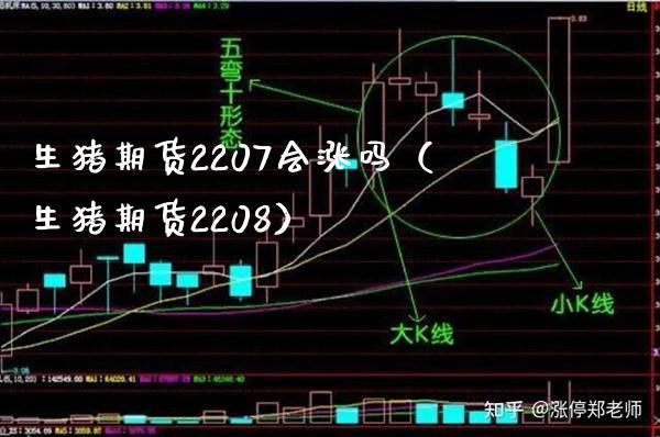 生猪期货2207会涨吗（生猪期货2208）