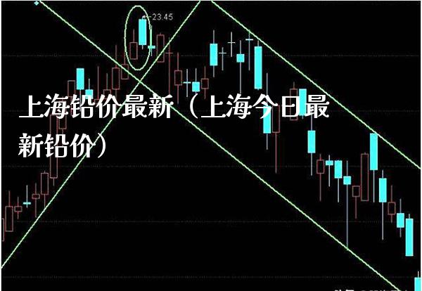 上海铅价最新（上海今日最新铅价）