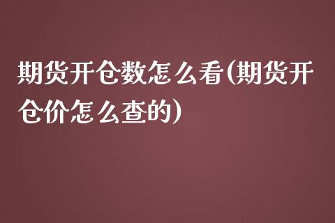 期货开仓数怎么看(期货开仓价怎么查的)